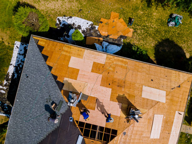 Best Storm Damage Roof Repair  in Eldorado, IL