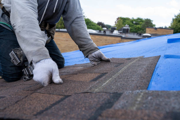 Best Commercial Roofing Services  in Eldorado, IL